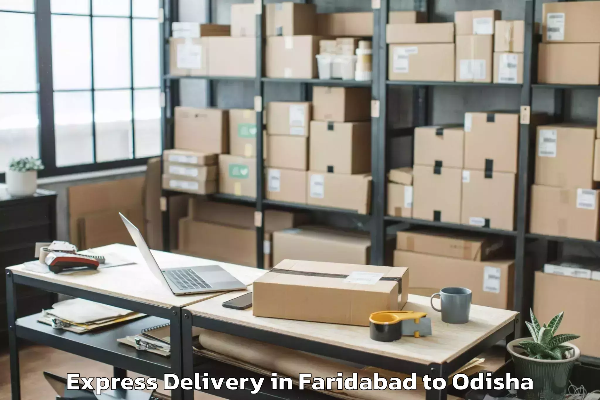 Top Faridabad to Kendujhar Express Delivery Available